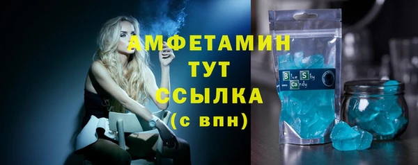 индика Алексин