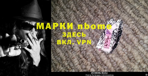 индика Алексин