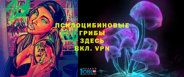 шишки Алзамай