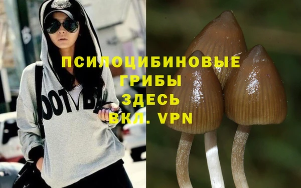 шишки Алзамай
