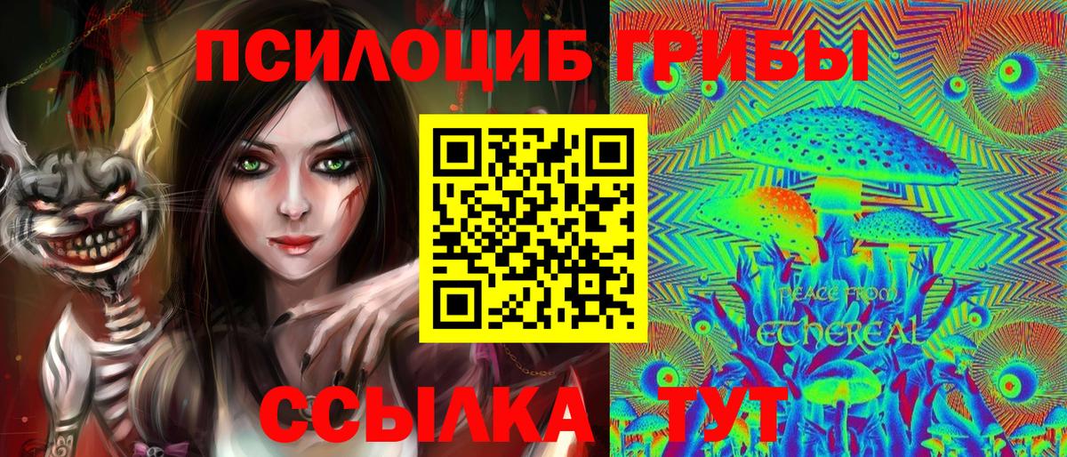 Галлюциногенные грибы Magic Shrooms Тара