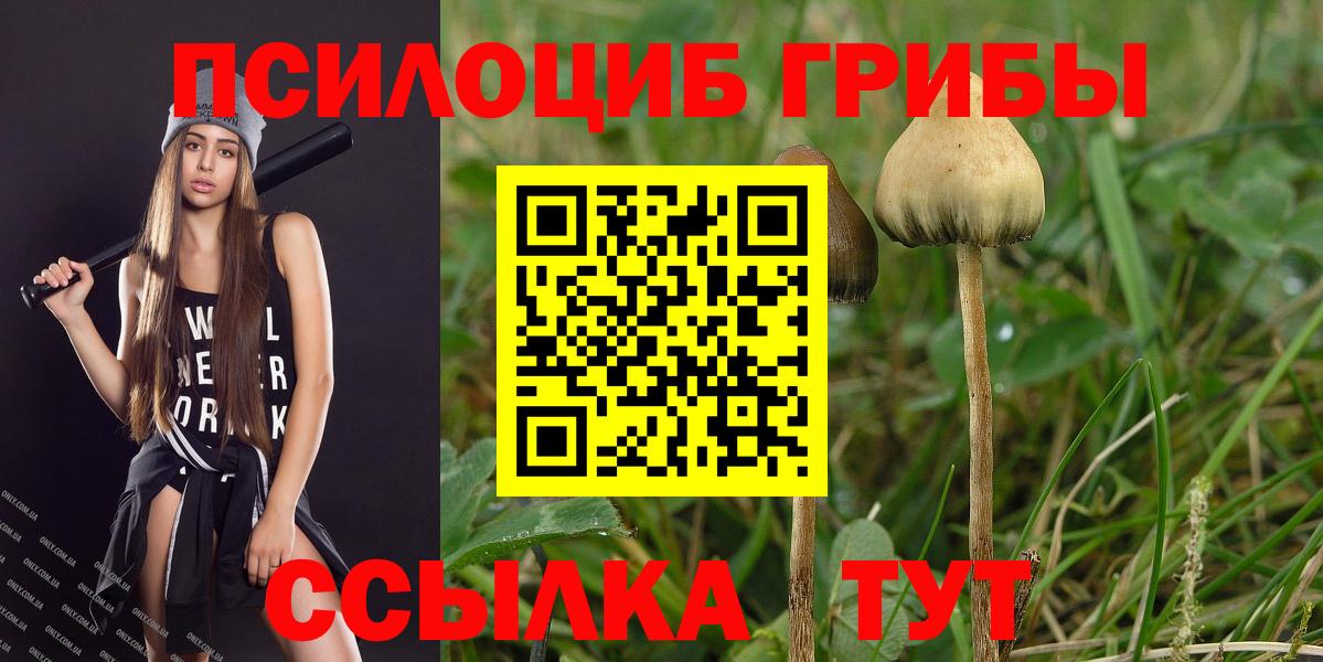 Псилоцибиновые грибы мухоморы  Вход с VPN  Тара  Псилоцибиновые грибы ЛСД 